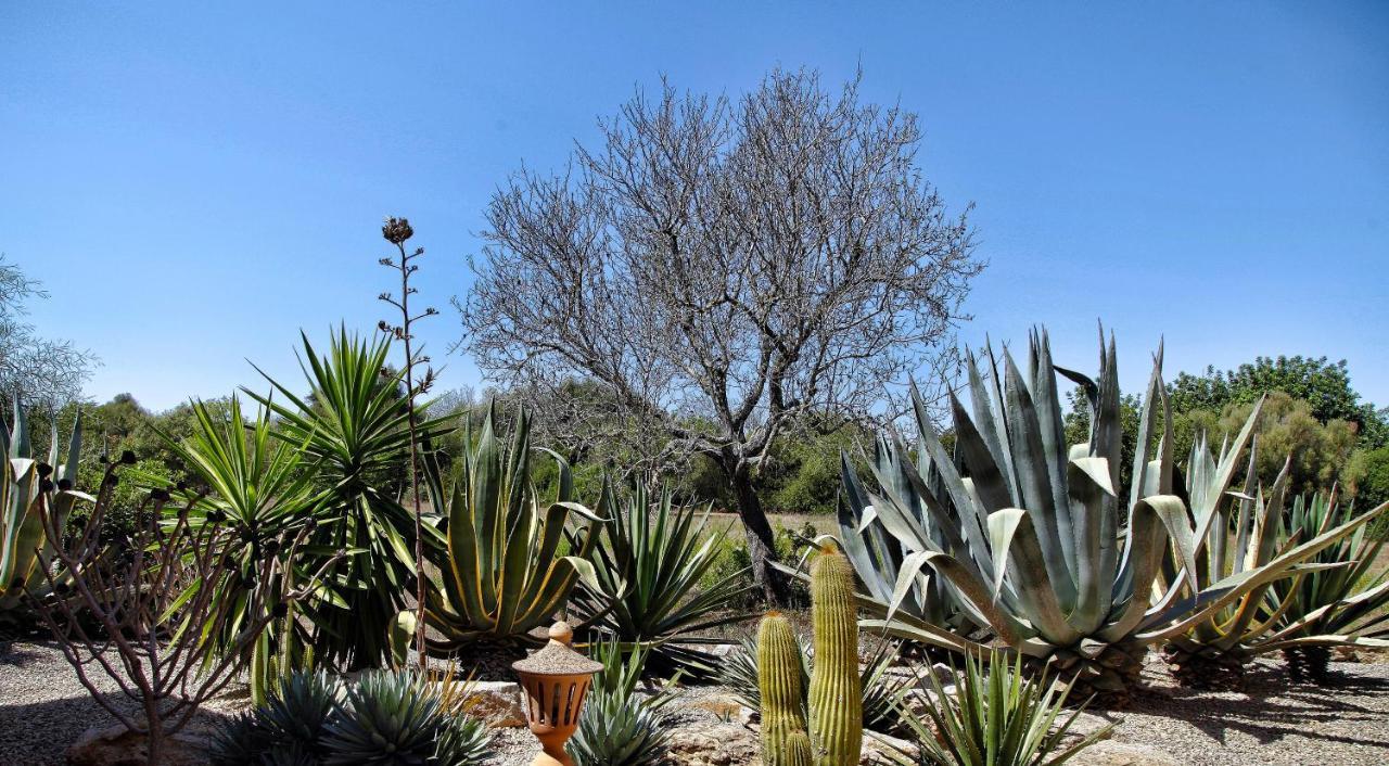 Finca Casa Mas Сантаньи Экстерьер фото