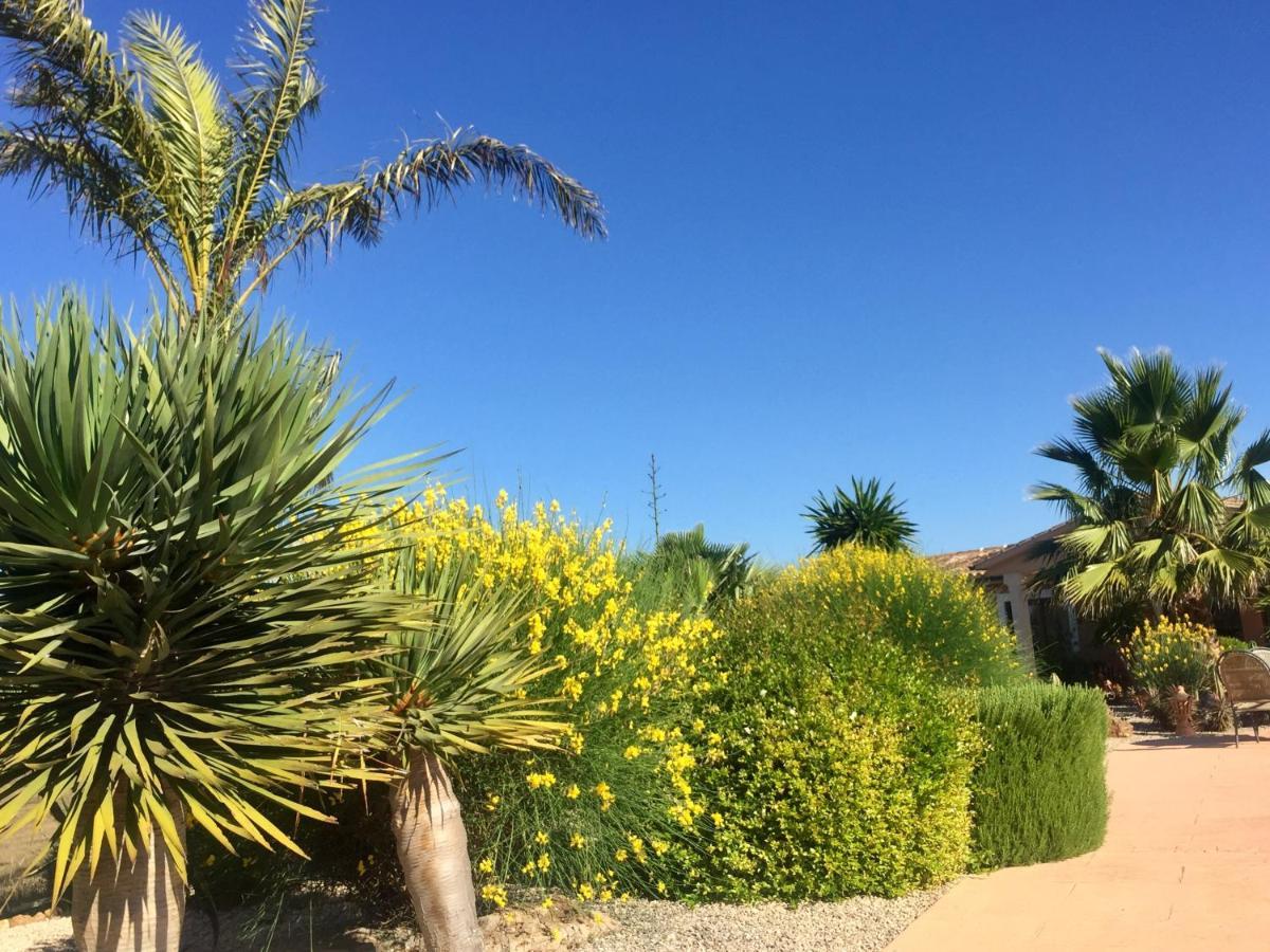 Finca Casa Mas Сантаньи Экстерьер фото